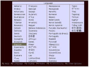 Ubuntu install page over KVM